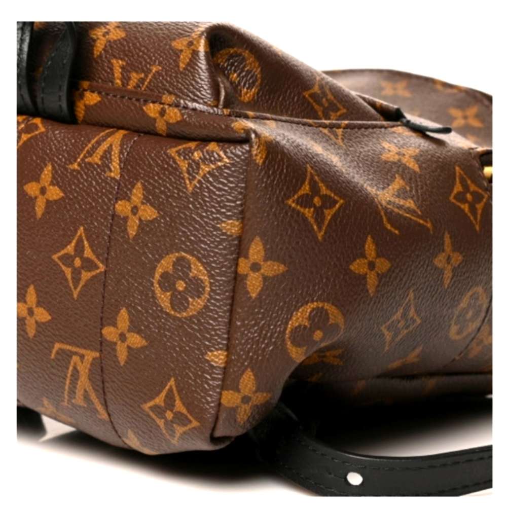 Louis Vuitton PM Springs
